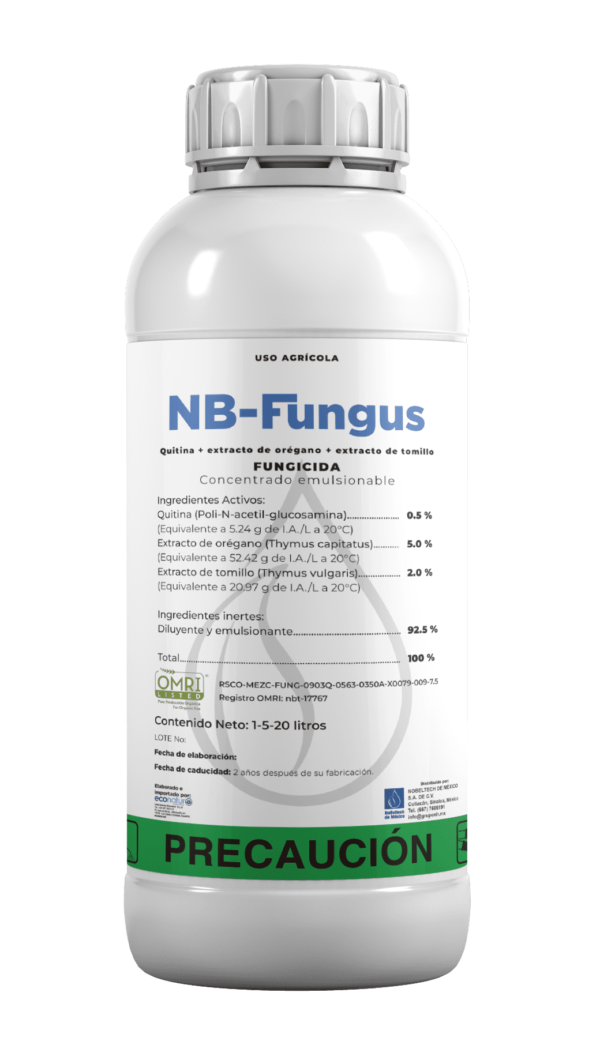 NB-FUNGUS