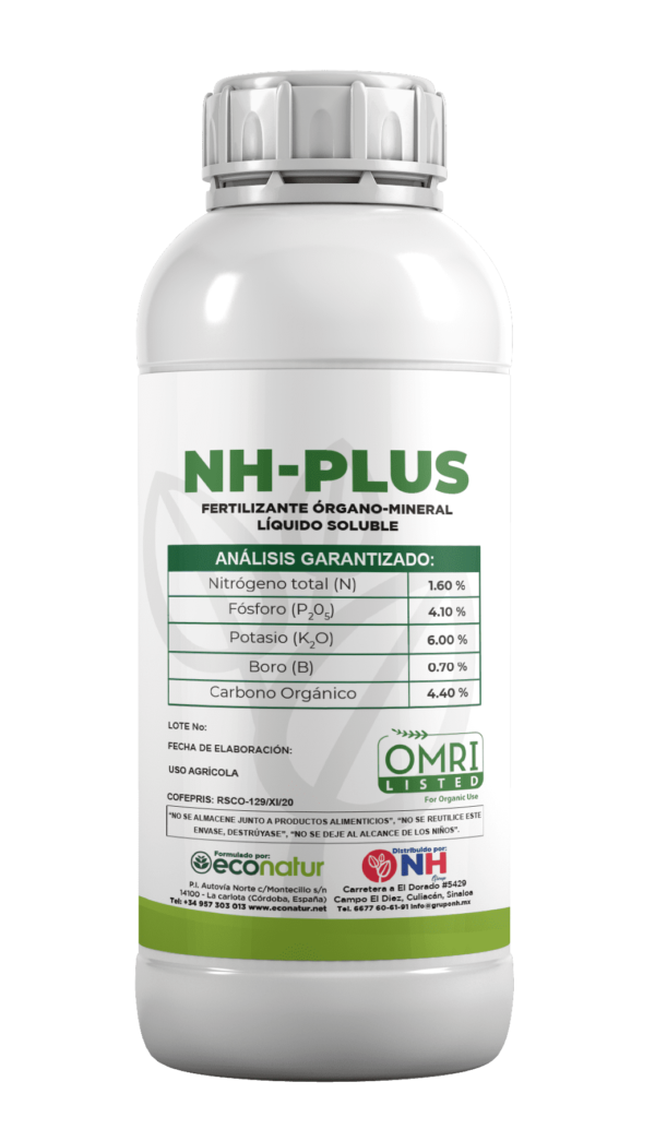 NH-PLUS