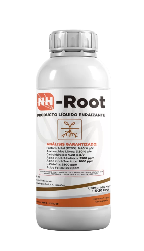 NH-Root