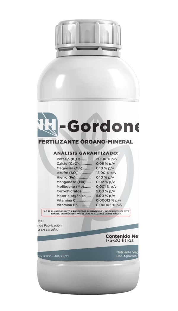 NH-GORDONE